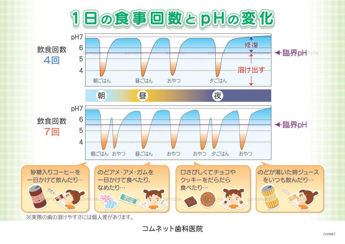 1日の食事回数とphの変化 資料作りをアウトソーシング コムネット